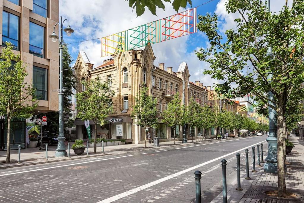 Luxury Apartment In Gedimino Av. Wilna Exterior foto